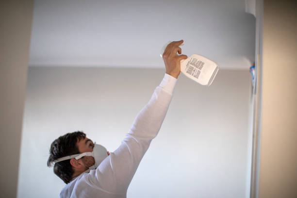 Best Health and Safety Mold Remediation in Wooster, AR